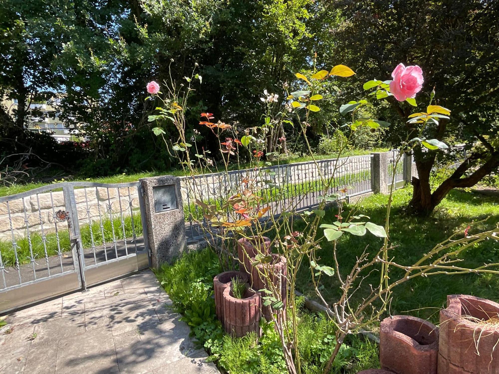 נירנברג Messe-Apartment, 4 Schlafzimmer, 80 Qm, Garten - 6 Km Zur Messe, Verkehrsguenstig, Ruhig, Parkplaetze מראה חיצוני תמונה